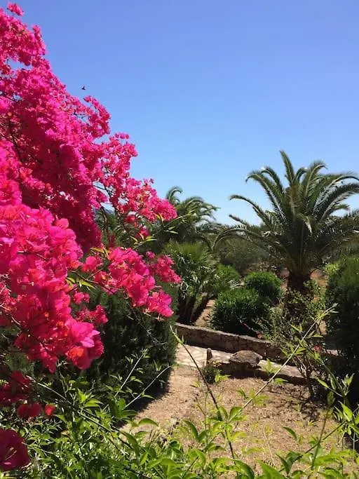 Splendida Spiaggia Di Porto Istana Apartment